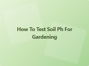 How to Test Soil Ph for Gardening