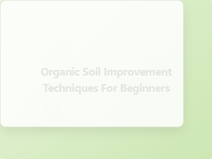 Organic Soil Improvement Techniques for Beginners