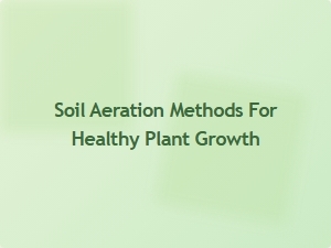 Soil Aeration Techniques for Stronger Plant Growth