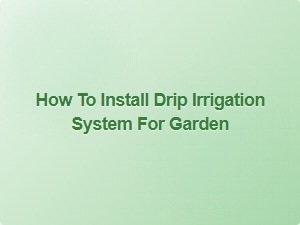 How to Install Drip Irrigation System for Garden